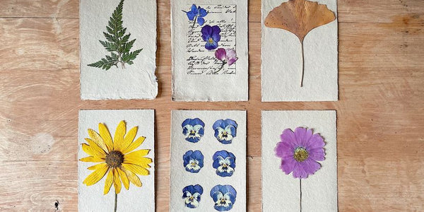 Finding Joy in Flower Pressing: Simple Tips for Beginners