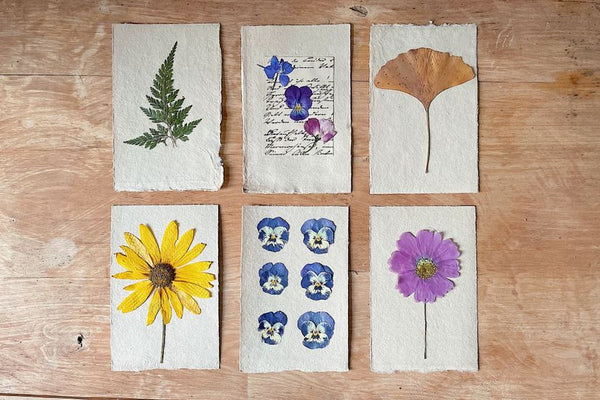 Finding Joy in Flower Pressing: Simple Tips for Beginners