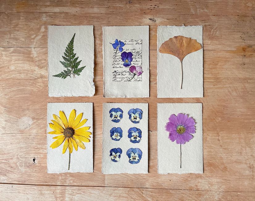 Finding Joy in Flower Pressing: Simple Tips for Beginners