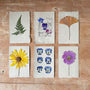 Finding Joy in Flower Pressing: Simple Tips for Beginners