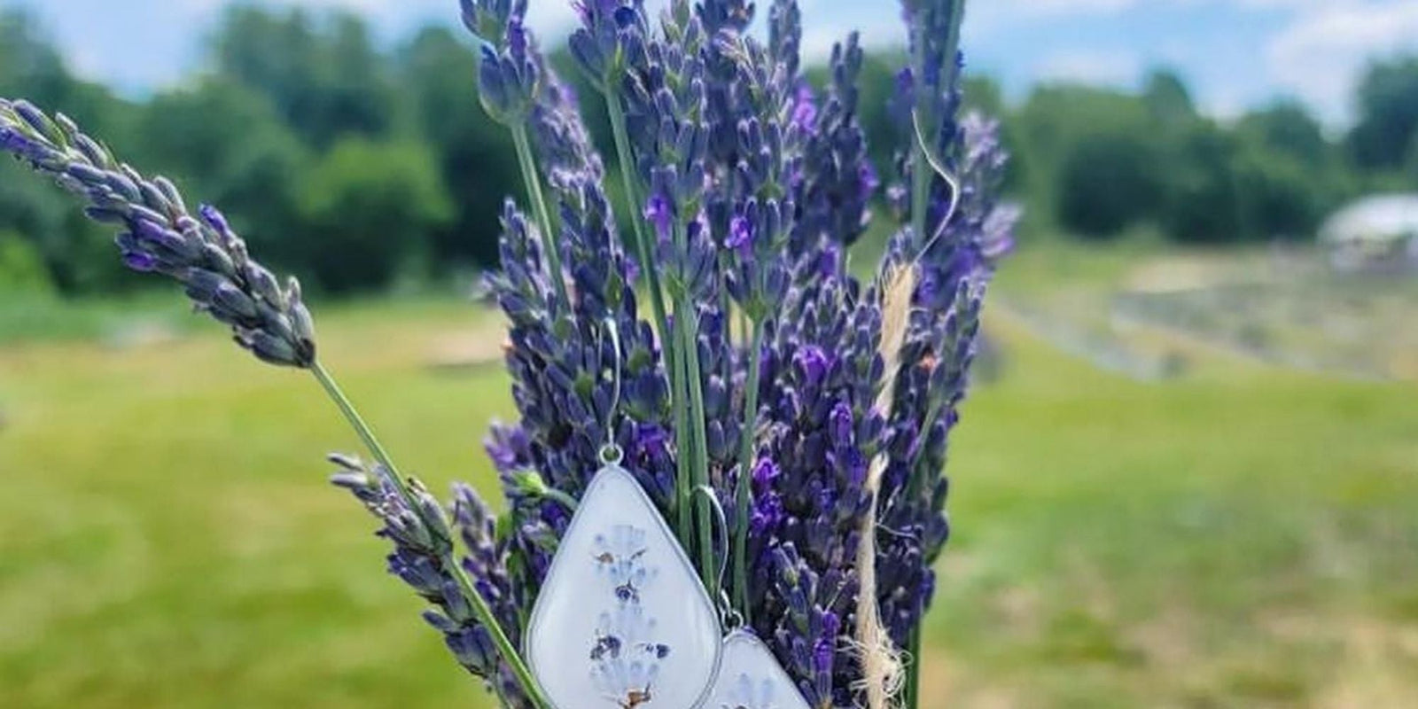 Picking Flowers - Time of Day Matters - Microfleur