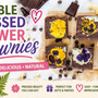 Pressed Flower Brownies | Easy Chocolate Dessert with Edible Flowers - Microfleur
