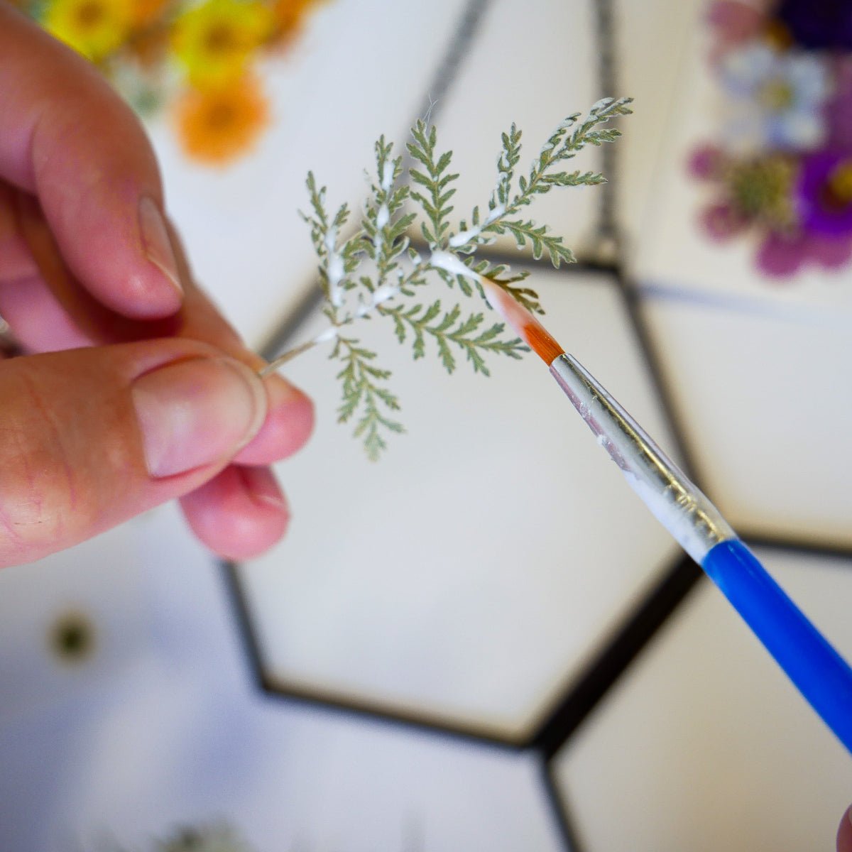 Framed Pressed Flowers Kit - Microfleur