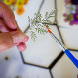 Framed Pressed Flowers Kit - Microfleur