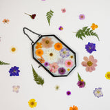 Framed Pressed Flowers Kit - Microfleur
