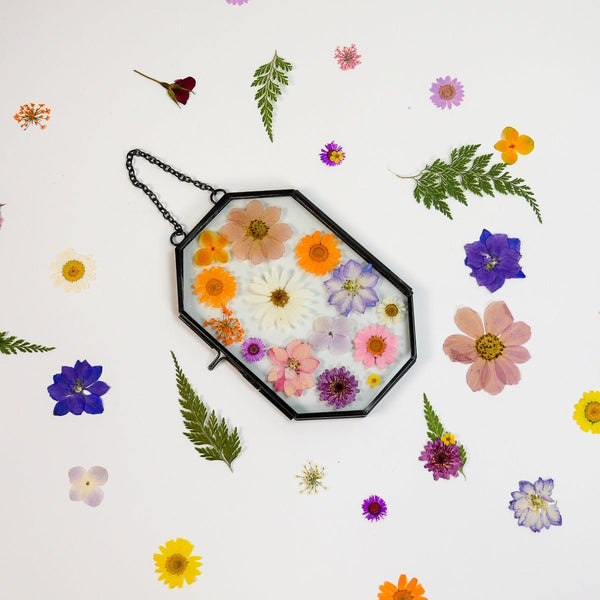 Framed Pressed Flowers Kit - Microfleur