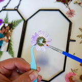 Framed Pressed Flowers Kit - Microfleur