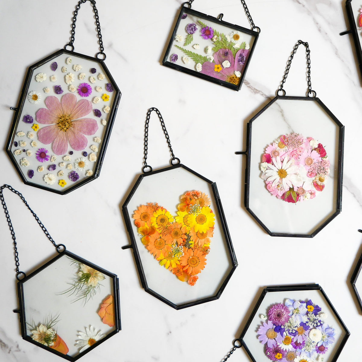 Framed Pressed Flowers Kit - Microfleur