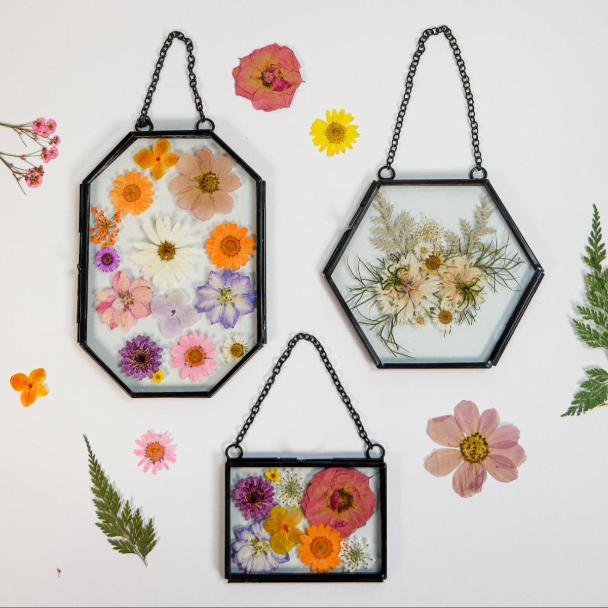 Framed Pressed Flowers Kit - Microfleur