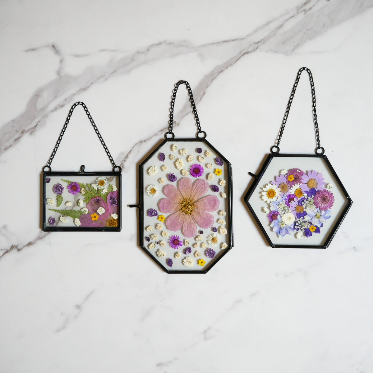 Framed Pressed Flowers Kit - Microfleur