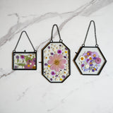 Framed Pressed Flowers Kit - Microfleur