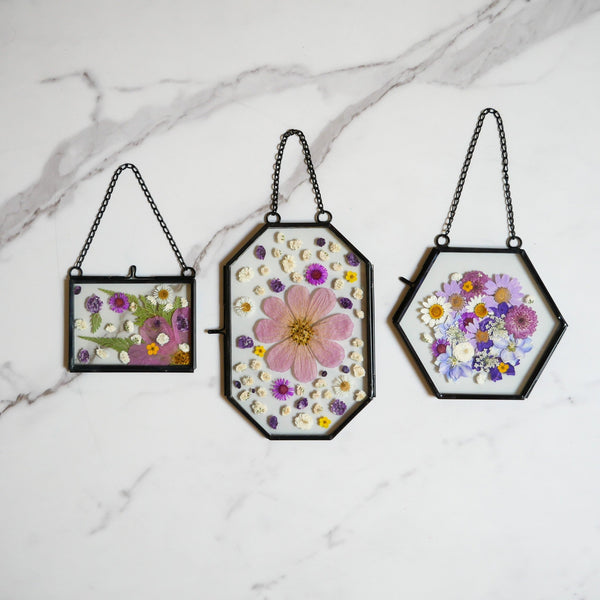 Framed Pressed Flowers Kit - Microfleur