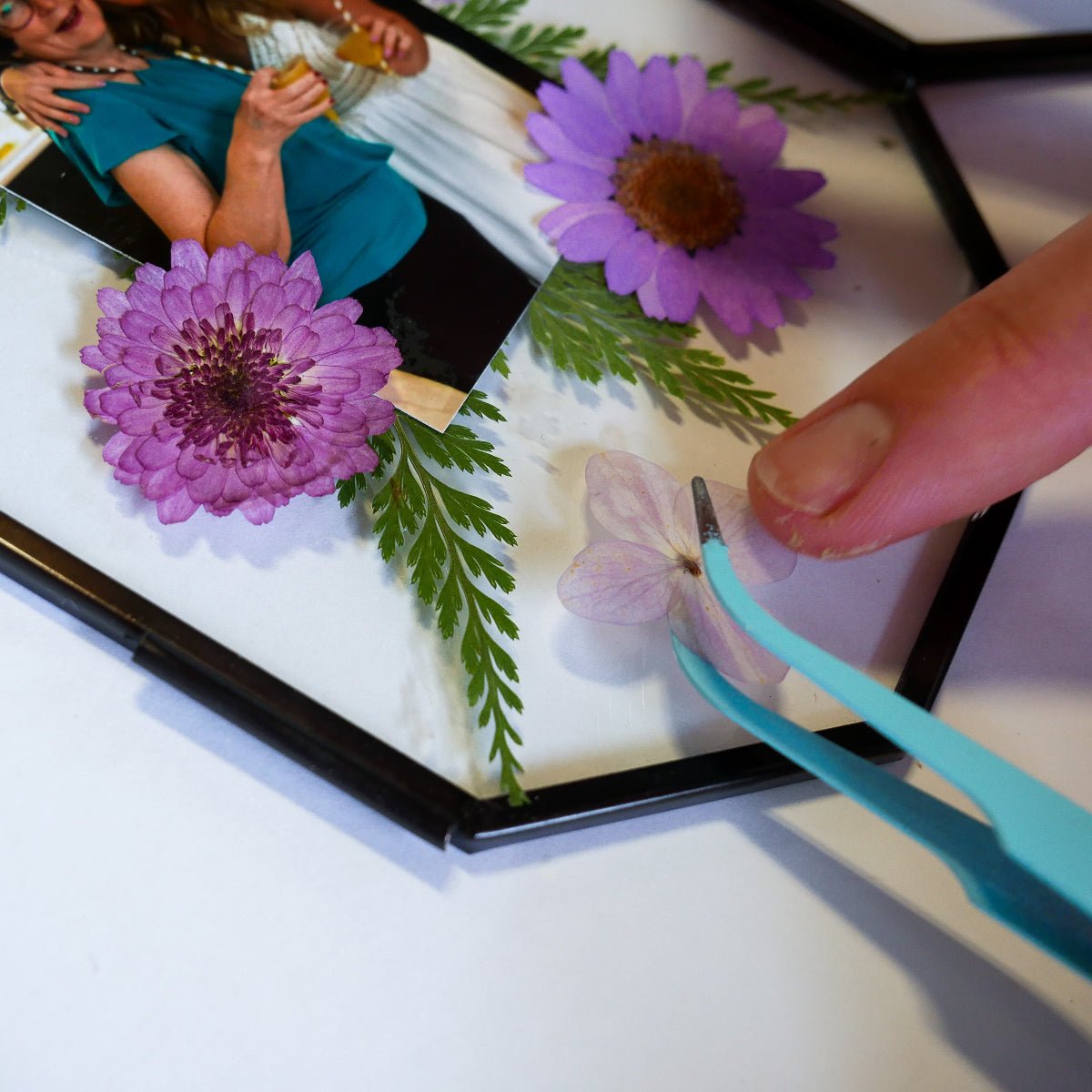Framed Pressed Flowers Kit - Microfleur