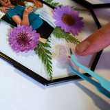 Framed Pressed Flowers Kit - Microfleur