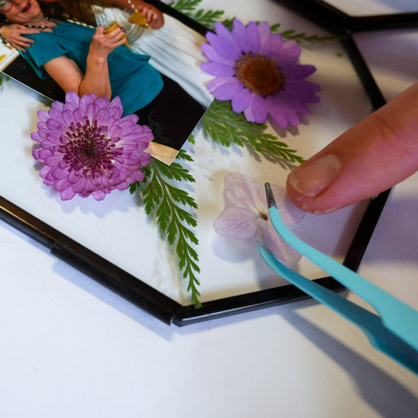 Framed Pressed Flowers Kit - Microfleur