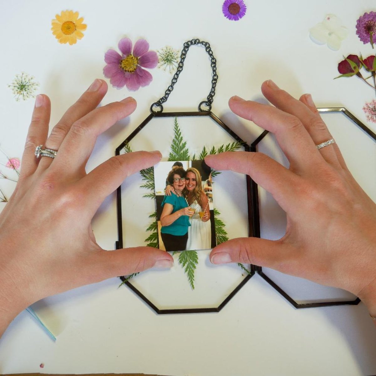 Framed Pressed Flowers Kit - Microfleur