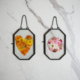Framed Pressed Flowers Kit - Microfleur