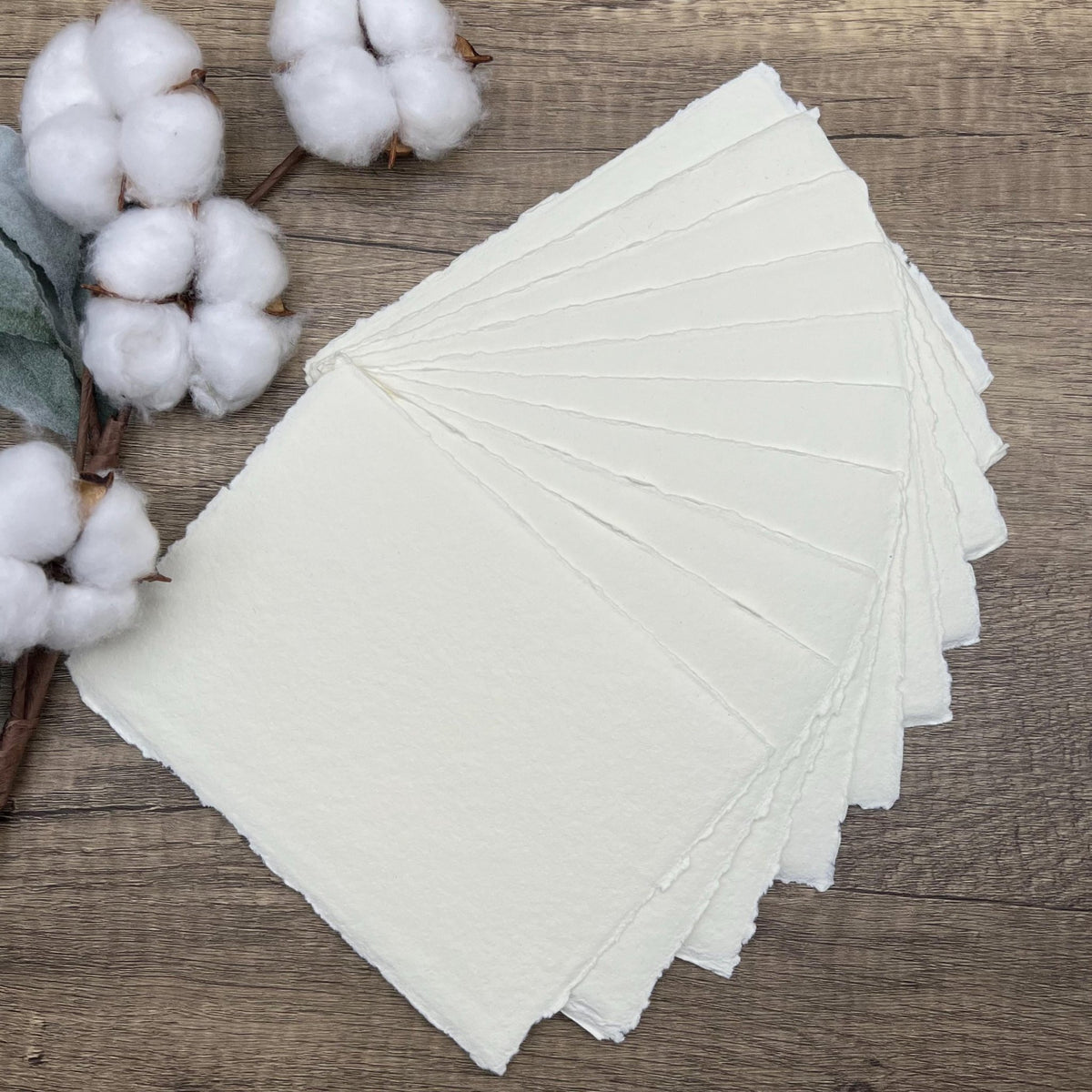 Ivory 300gsm Handmade Cotton Paper (Set of 10) Cut Edge - Microfleur