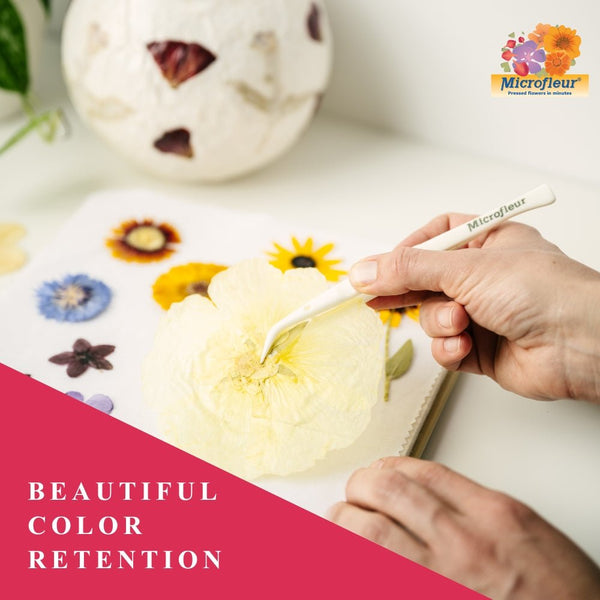 Microfleur Max Flower Press Kit - Microfleur