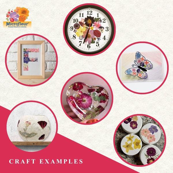 Microfleur Max Flower Press Kit - Microfleur