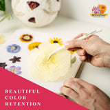 Microfleur Regular Flower Press Kit - Microfleur