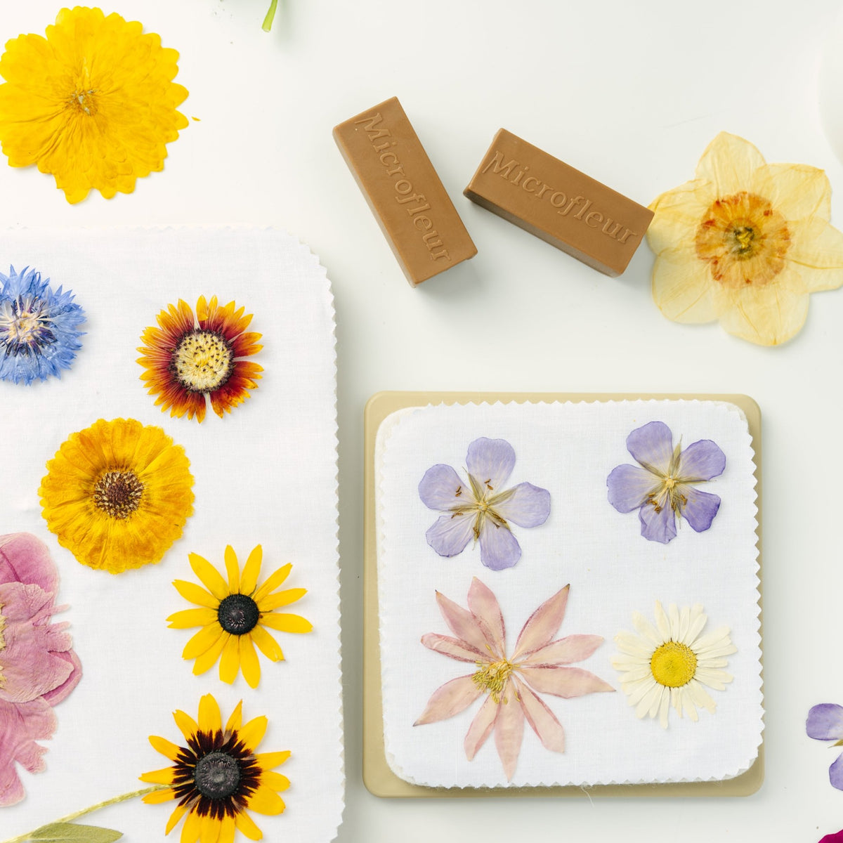 Microfleur Regular Flower Press Kit - Microfleur