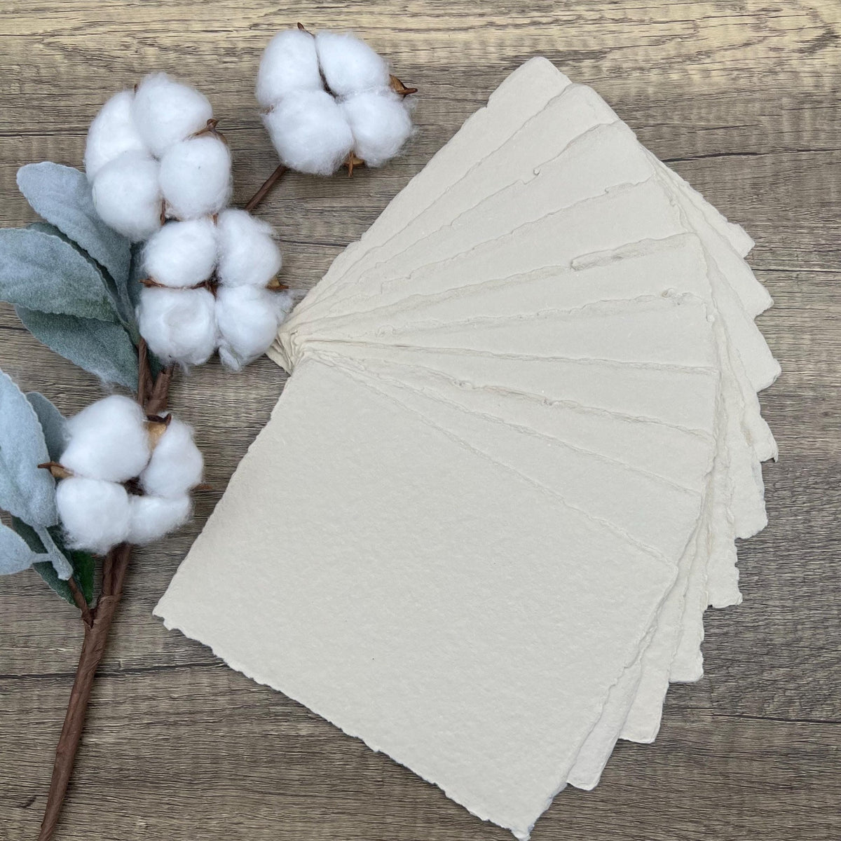 Oat Handmade Cotton Paper (Set of 10) - Microfleur