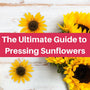 An image of both fresh and pressed sunflowers arranged on a rustic white wooden background. A red banner across the center of the image reads "The Ultimate Guide to Pressing Sunflowers."