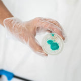 Resin Serving Tray Kit - Microfleur