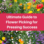 A close-up, eye-level photo of a vibrant field of colorful wildflowers, including red poppies, yellow buttercups, and purple blooms. A large pink banner across the center reads "Ultimate Guide to Flower Picking for Pressing Success."