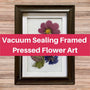 A framed piece of pressed flower art hanging on a rustic wooden background. The art features a purple cosmos flower and blue and purple cornflowers. A large red banner across the image reads "Vacuum Sealing Framed Pressed Flower Art."