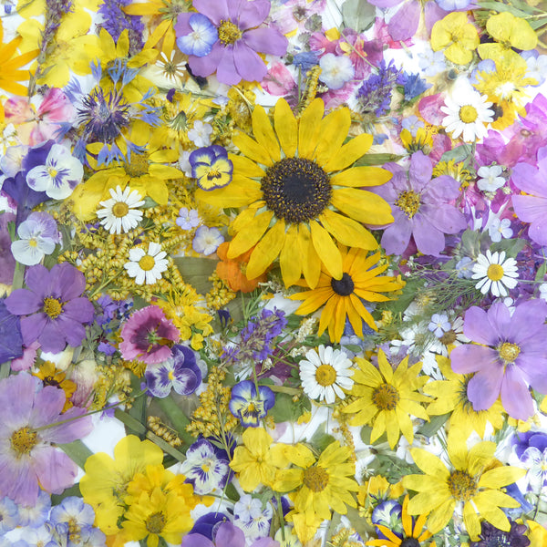 Pressed Flower Club Subscription