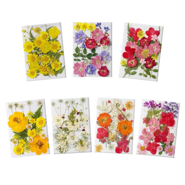 Pressed Flower Club Subscription
