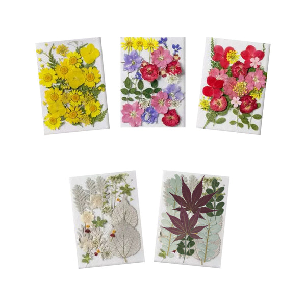 Pressed Flower Club & More Subscription