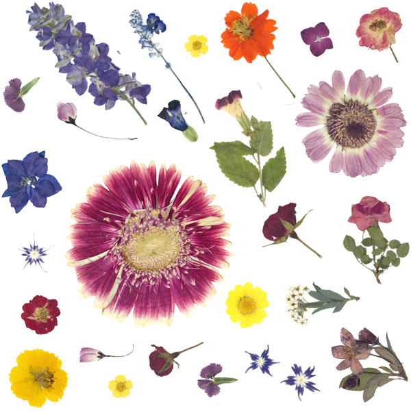 Pressed Flower Club & More Subscription