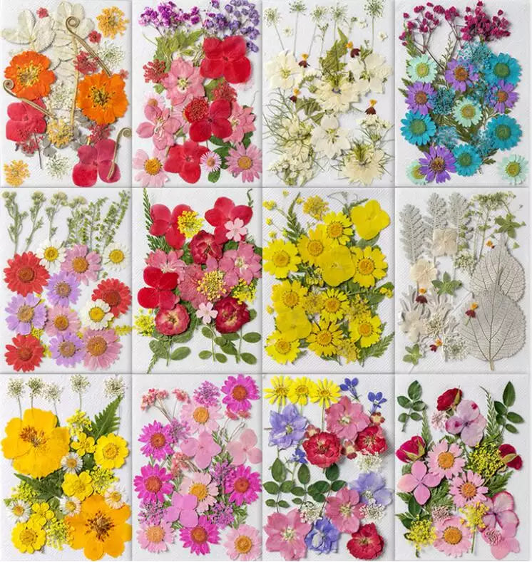 Pressed Flower Club & More Subscription